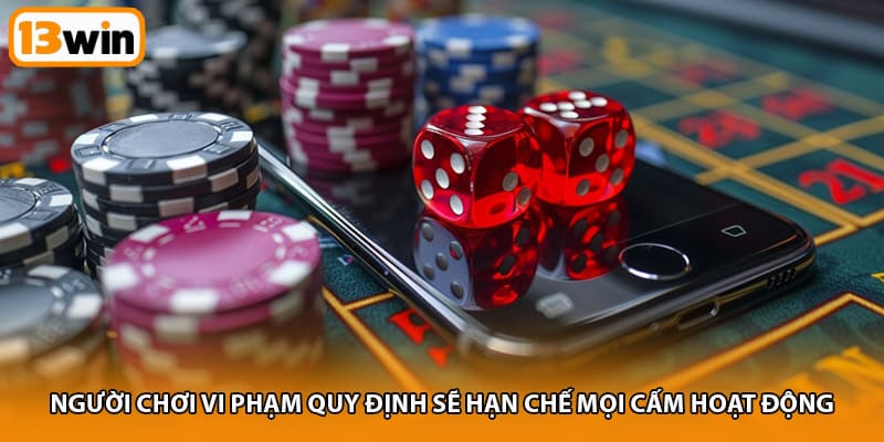 Người chơi vi phạm quy định sẽ hạn chế mọi cấm hoạt động